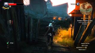 witcher3 поговорить с бароном о его семье Дела семейные