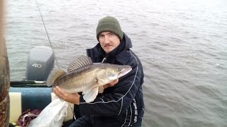 Рыбалка осенью на судака. Мой рекорд по судаку 4,7 кило ( присутствует мат )