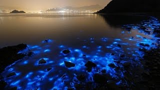 Азовське море