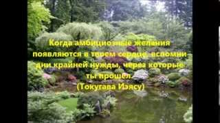 Цитаты самурая