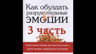 Как обуздать разрушительные эмоции (часть 3/11) Чип Ингрэм