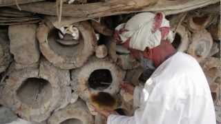 Visit the Traditional Beekeepers in Wadi Bani Awf (Oman)