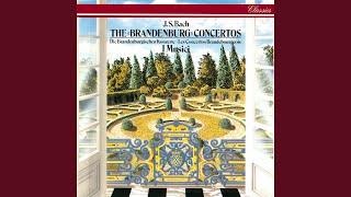 J.S. Bach: Brandenburg Concerto No.1 in F, BWV 1046 - 2. Adagio