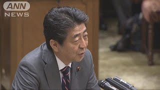 参院でも官邸関与を追及　不正統計問題で集中審議(19/03/06)