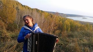 ★★★ Sector Gaza - Песенка ♫♫♫ На Баяне )))