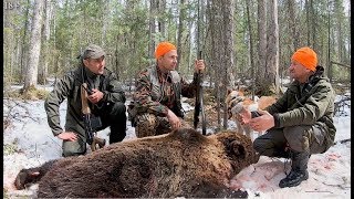 Фильм 6. Охота на медведя с лайками 2019. Как на нас летел медведь.