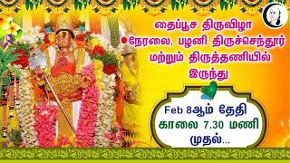 Thai poosa Thiruvizha | தை பூசத் திருவிழா நேரலை பழனி திருச்செந்தூர் திருத்தணி