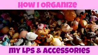 How I Organize My LPS & Accessories! | LPSskittles