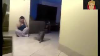 Daxshat Bu erkak va ayol  nima qilmoqchi
