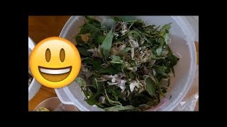 XÉ PHAY GÀ "LĂNG BA VI BỘ" LÀ ĐÂY
