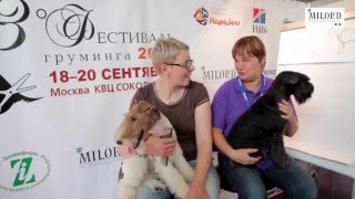 Груминг мастеркласс. Елизавета Елизарова и Елена Левченко.