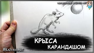Как нарисовать крысу (мышь) карандашом. Новогодняя мышь. Символ 2020 года