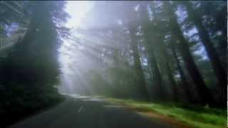 Hamza Shakkur - Salawat