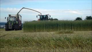 Grünroggen Häckseln 2013 mit Fendt Katana 65 & Zürn ProfiCut 620  und 2 Fendt, Claas, Valtra