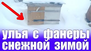 Я Шокирован результат зимовки пчел в ульях с Фанеры и ДВП?УЛЬЯ  7 ЛЕТ В РАБОТЕ?