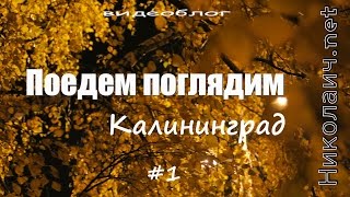Поедем поглядим. Калининград. Видеоблог