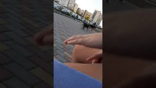 Спаривание