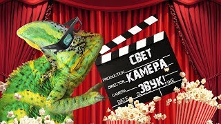 Перепайка штекера микрофона Делаем ветрозащиту Тестируем новый звук.