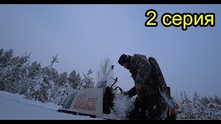 В тайгу на целый день. Охота. Чаёк на природе. Собаки умирают от усталости. 2 серия.