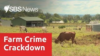 Victorian police launch new rural unit to target farm crimes