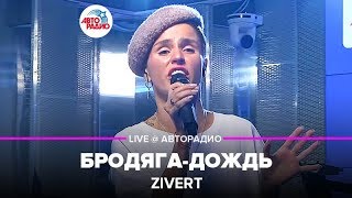 ?️ Zivert - Бродяга-дождь (LIVE @ Авторадио, презентация альбома Vinyl #1)