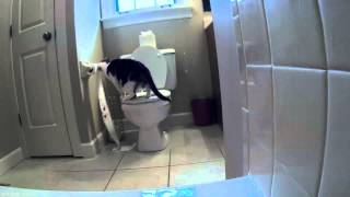 Hydee in the bathroom