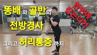 이곳만 풀어주면 똥배와 골반의 전방경사 그리고 허리통증까지 해결할수있다?!