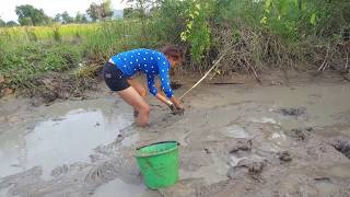 Amazing fishing at Battambang - people fishing in Cambodia - How to Catches fish (Part 171)