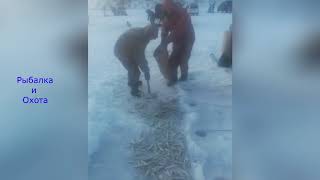 Невероятный и смешной случай на охоте #3