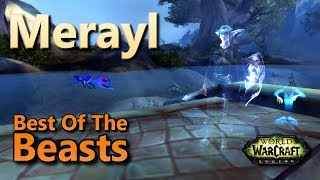 Nightwatcher Merayl Best Of The Beasts Family Familiar Pet Battle World Quest Training With the Nigh