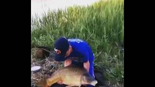 Рыбалка Камыши