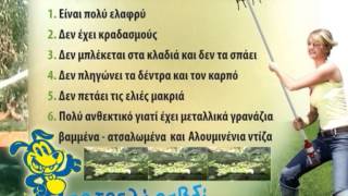 Τρελό Ραβδί - Ραβδιστικό ελιών