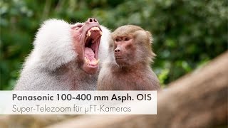 Panasonic Leica 100-400 mm OIS - Super-Telezoom für MFT-Kameras im Test [Deutsch]