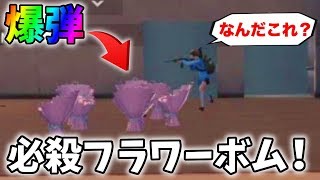 【罠】必殺フラワーボムをお見舞いしたったｗｗ【荒野行動】#207 Knives Out