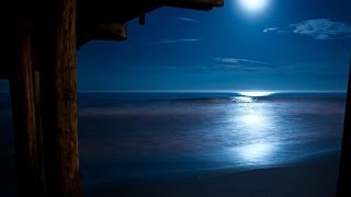 Beethoven Moonlight Sonata with Relaxing Nature Sounds [ Sleep Music ]