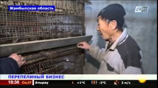 Пенсионер из Жамбылской области стал успешным предпринимателем