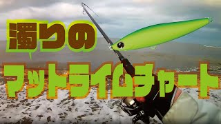 濁りのマットライムチャート