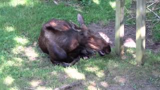 Adventure at the Zoo!!