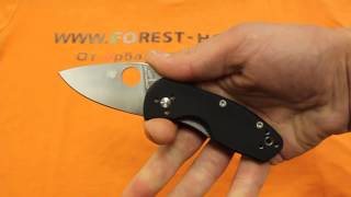 Нож складной Spyderco Ambitious 148GP 8Cr13MoV рукоять G-10