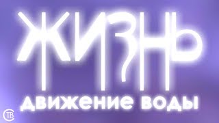 Жизнь - движение ВОДЫ (от Горшкова А.С.)