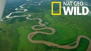 National Geographic Река Конго Река Монстров Документальный фильм