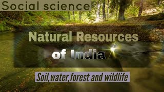 Resources Of India 1