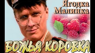 Божья коровка - Ягодка - малинка / Ladybird - Berry-Raspberry