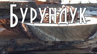 Бурундук. Пять минут из жизни.