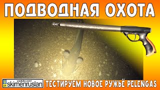ПОДВОДНАЯ ОХОТА Тестируем новое ружьё Pelengas Magnum