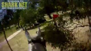 Horse Cam takes you around the Australian International 3 Day Event