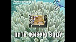 Коралловая вода (Коралловый кальций,Алка Майн ,Coral-Main)