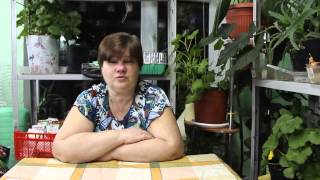 Как вырастить крепких цыплят? Отвечаю на ваши вопросы.