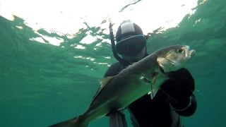 Podvodni ribolov u kraju-spearfishing in 2m
