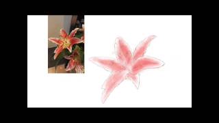 How to draw a flower from a picture on a Samsung tablet I Time lapse video